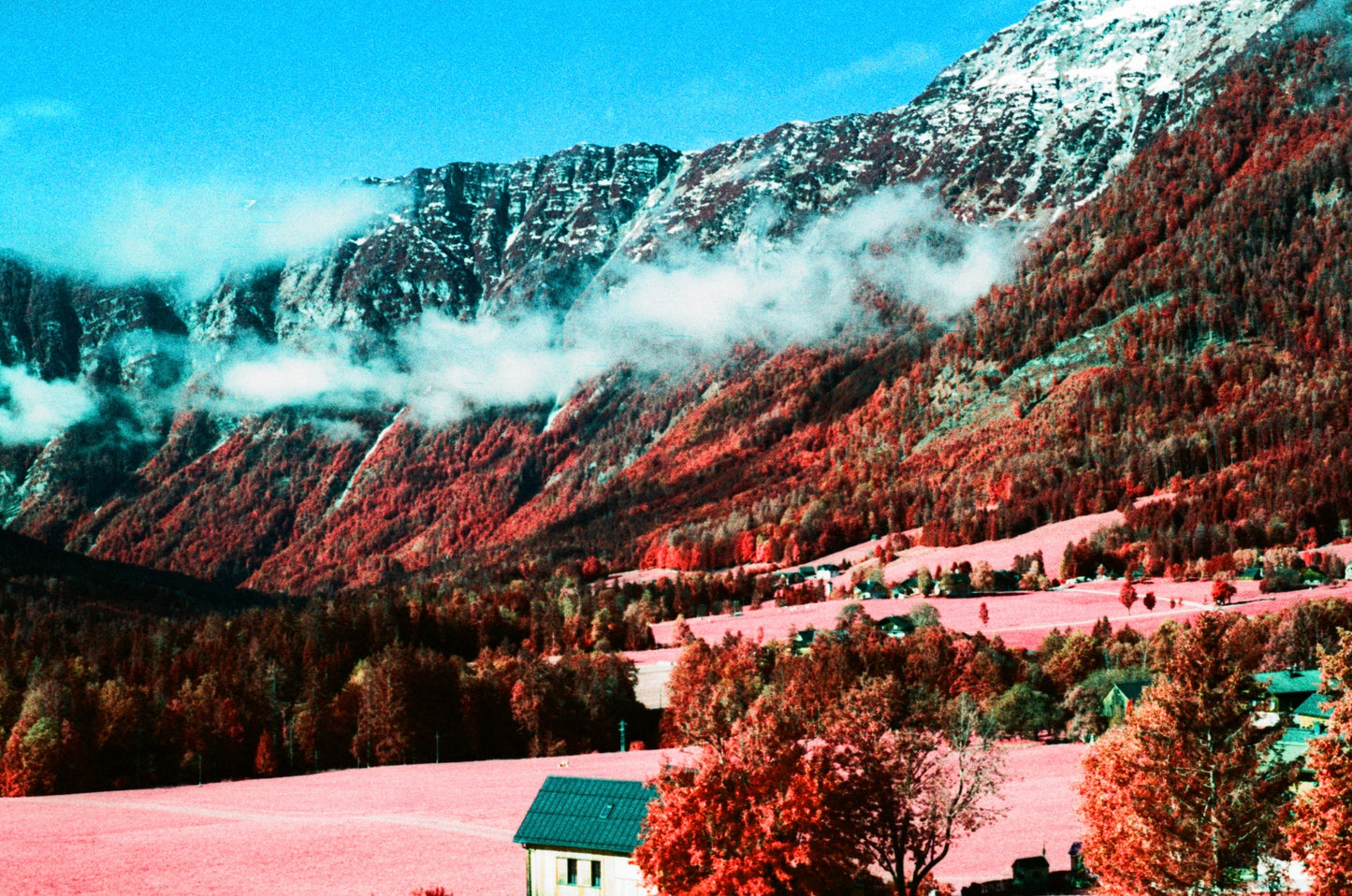 Kodak Aerochrome Colour infared EIR 35mm 135 film rolls (price per roll)