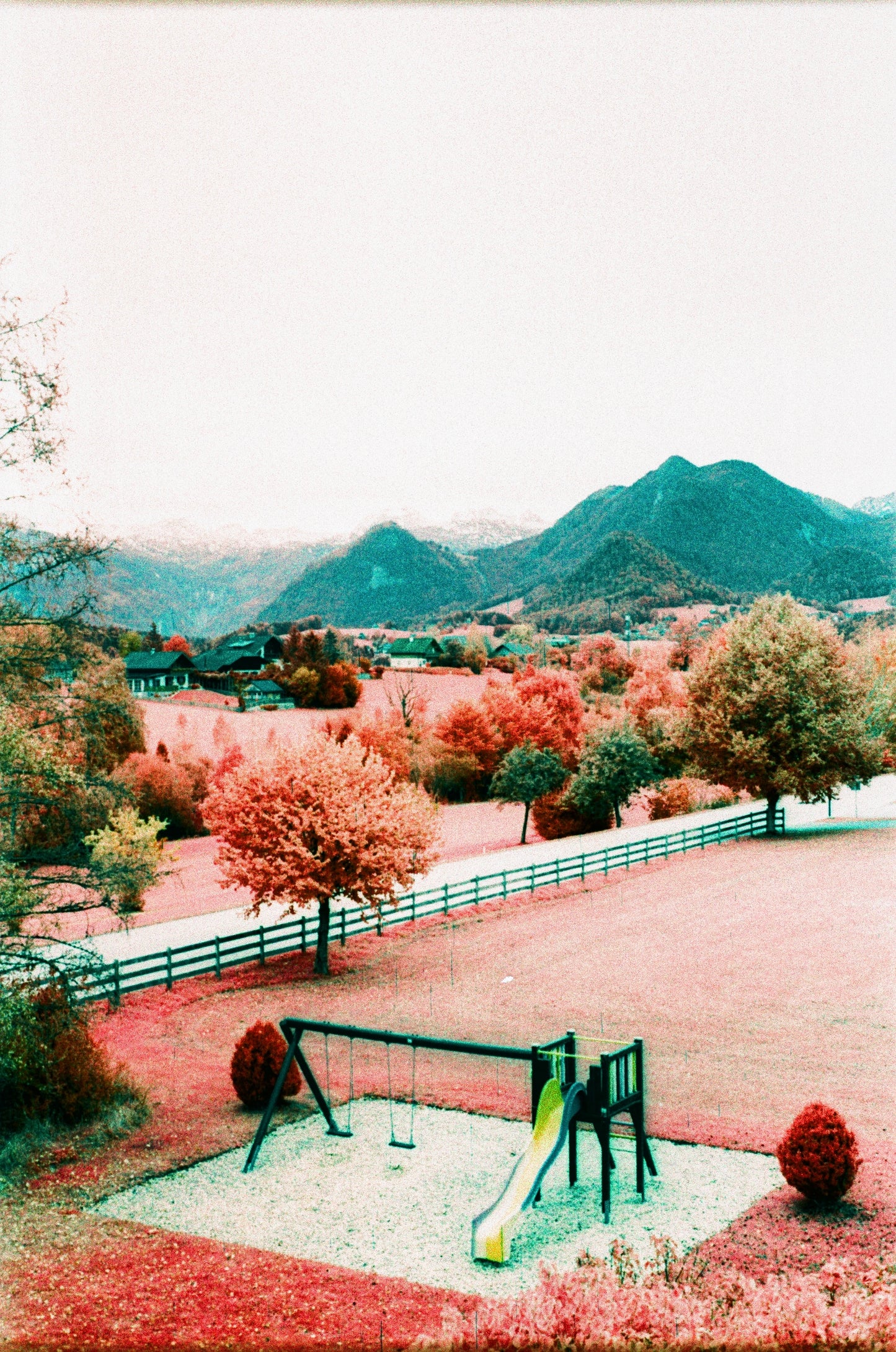 Kodak Aerochrome Colour infared EIR 35mm 135 film rolls (price per roll)